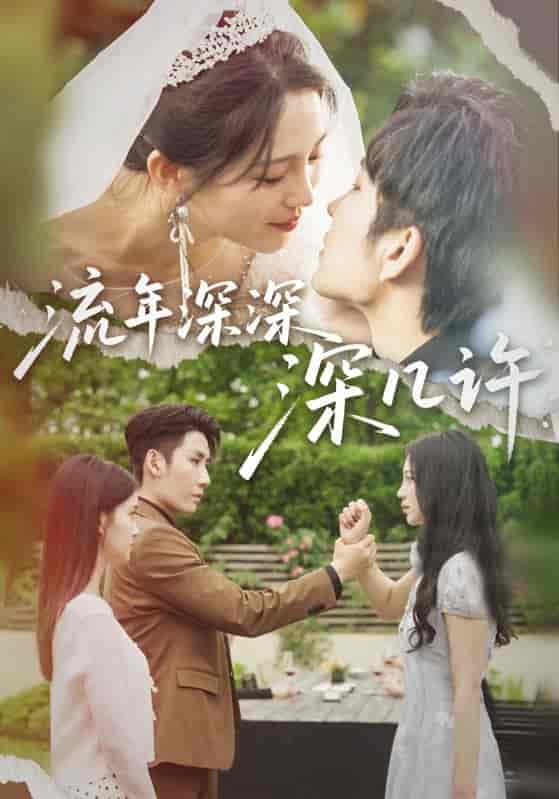 短剧《流年深深深几许》 短剧全集免费看，高清在线播放，大结局震撼！  第1张