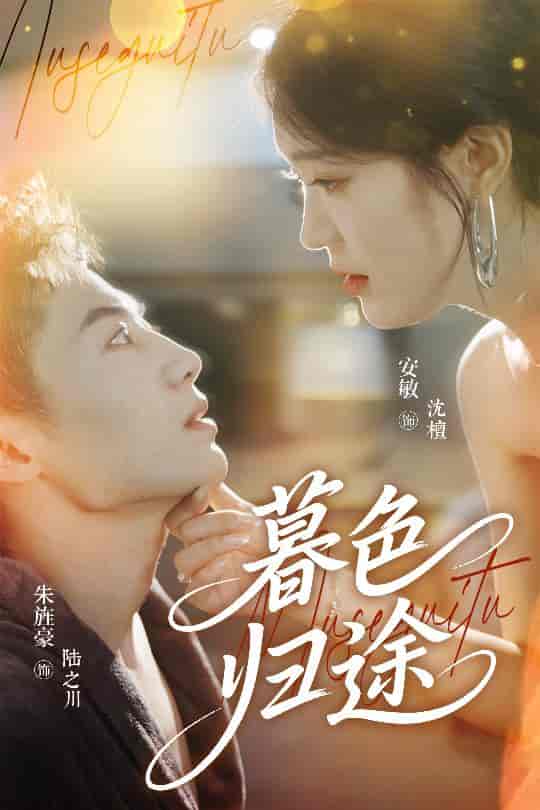 短剧《暮色归途》 全集免费在线，高清画质，大结局已完结  第1张