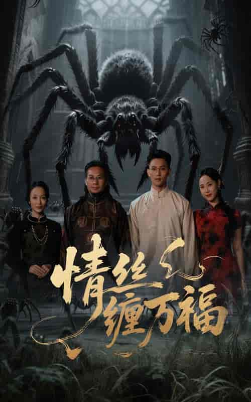 短剧《情丝缠万福》 高清无广告！全集免费看，大结局已完结  第1张