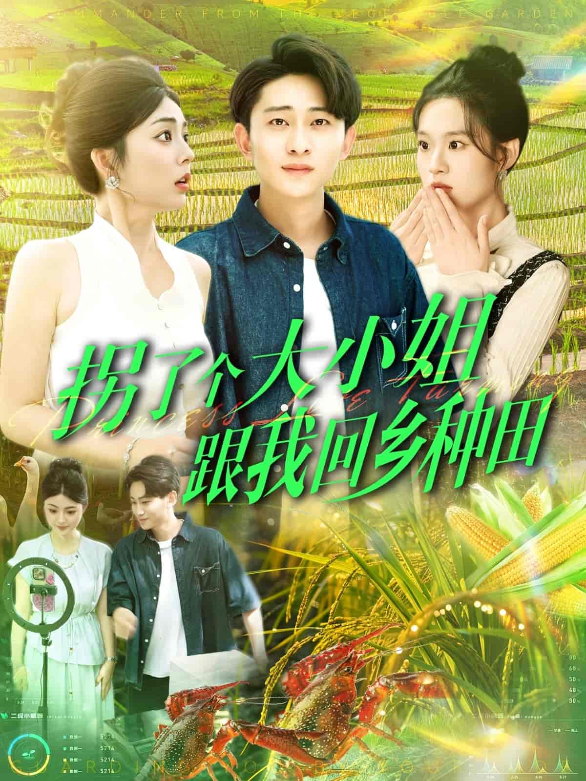 短剧《拐了个大小姐跟我回乡种田》 免费观看高清全集，大结局已完结  第1张