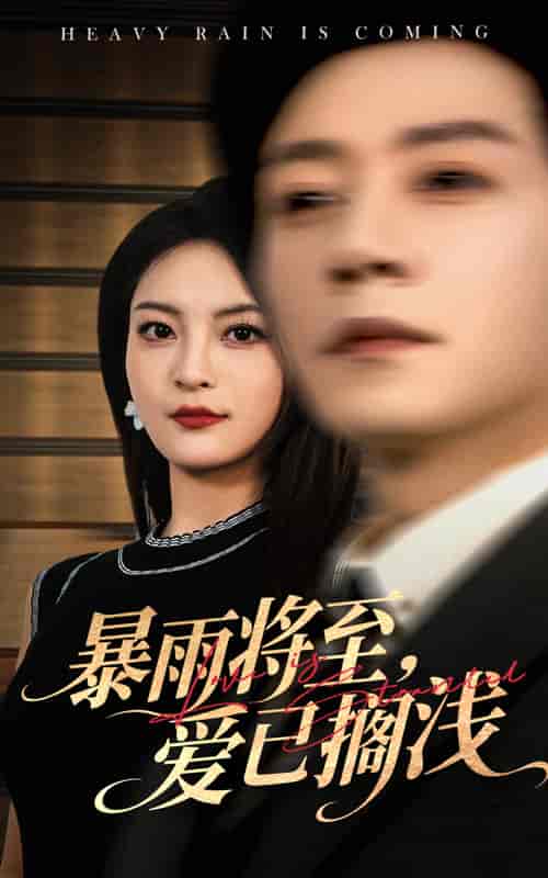 短剧《暴雨将至爱已搁浅》 免费高清短剧全集欣赏，完整版在线随心享